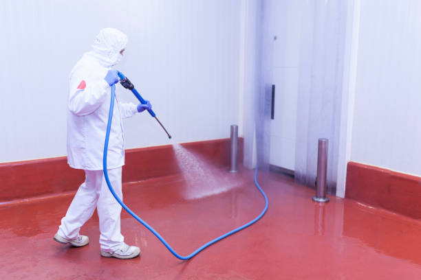 Best Rust Removal  in Buckeystown, MD